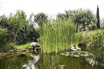Achtis Boutique Hotel Afytos 4*,
